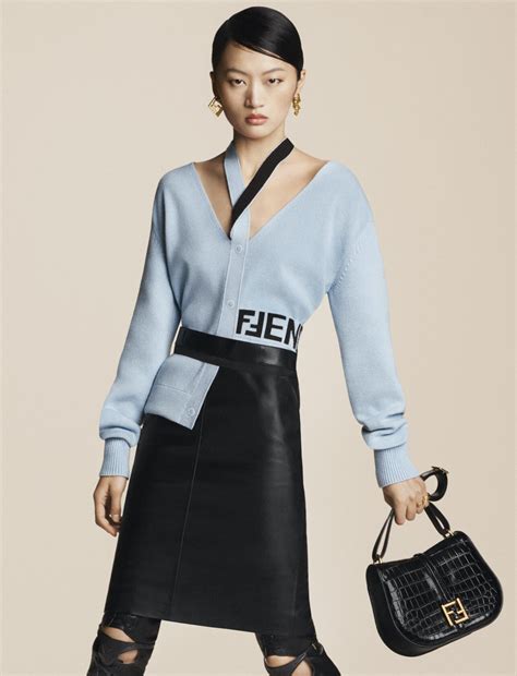 what is fendi brand.